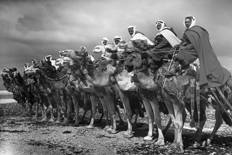 مئوية الثورة العربية الكبرى 1916-2016: كم تغيّر العالم خلال مئة عام ؟